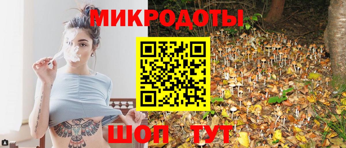 Псилоцибиновые грибы Cubensis  где найти наркотики  Вход с VPN  Нурлат  Псилоцибиновые грибы мухоморы 
