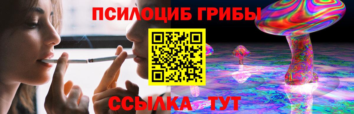 Псилоцибиновые грибы Cubensis Нурлат